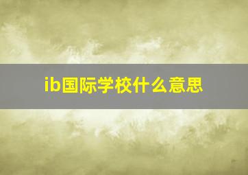 ib国际学校什么意思