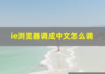 ie浏览器调成中文怎么调