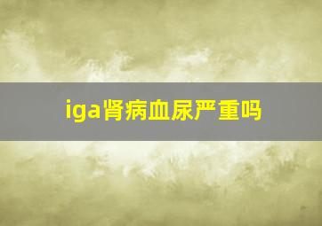 iga肾病血尿严重吗