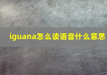 iguana怎么读语音什么意思