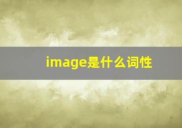 image是什么词性