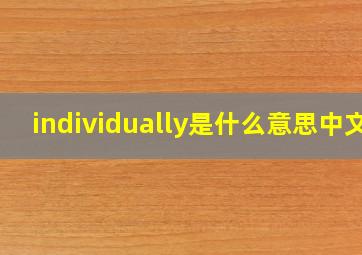 individually是什么意思中文