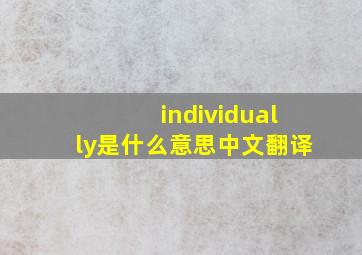 individually是什么意思中文翻译