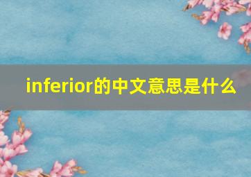 inferior的中文意思是什么