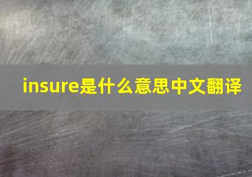 insure是什么意思中文翻译