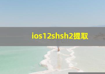 ios12shsh2提取