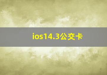 ios14.3公交卡