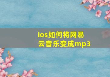 ios如何将网易云音乐变成mp3