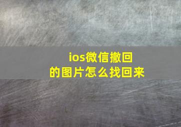 ios微信撤回的图片怎么找回来