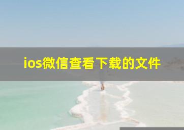 ios微信查看下载的文件