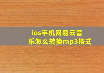 ios手机网易云音乐怎么转换mp3格式