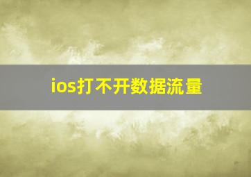 ios打不开数据流量