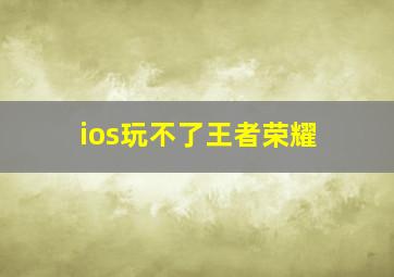 ios玩不了王者荣耀