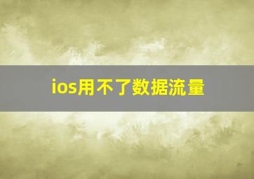 ios用不了数据流量