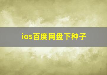 ios百度网盘下种子