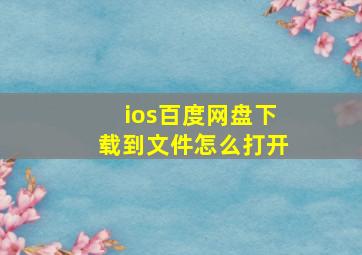 ios百度网盘下载到文件怎么打开