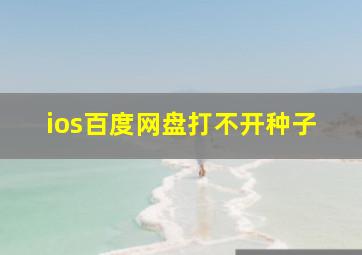 ios百度网盘打不开种子