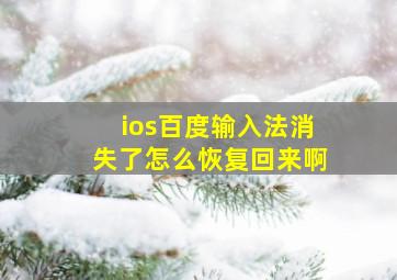 ios百度输入法消失了怎么恢复回来啊