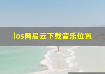 ios网易云下载音乐位置