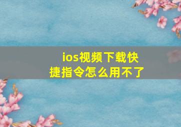 ios视频下载快捷指令怎么用不了