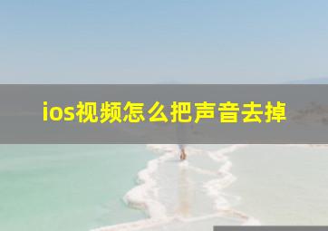 ios视频怎么把声音去掉