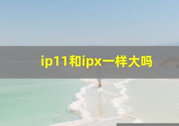 ip11和ipx一样大吗