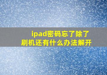 ipad密码忘了除了刷机还有什么办法解开