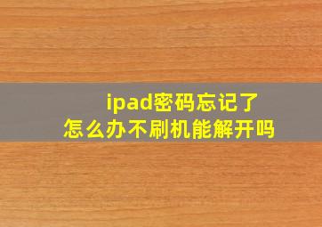 ipad密码忘记了怎么办不刷机能解开吗