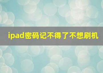 ipad密码记不得了不想刷机