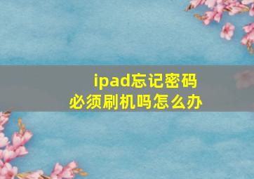 ipad忘记密码必须刷机吗怎么办