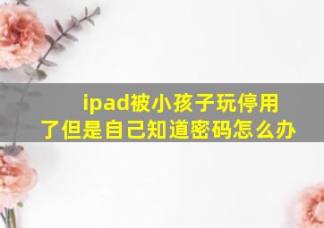 ipad被小孩子玩停用了但是自己知道密码怎么办