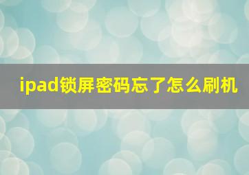 ipad锁屏密码忘了怎么刷机