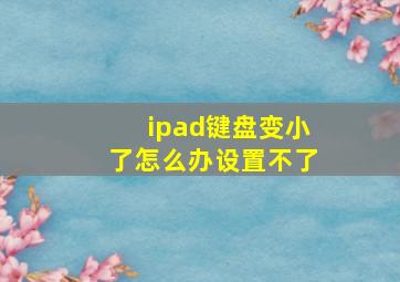 ipad键盘变小了怎么办设置不了