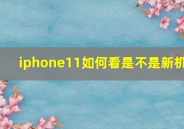 iphone11如何看是不是新机