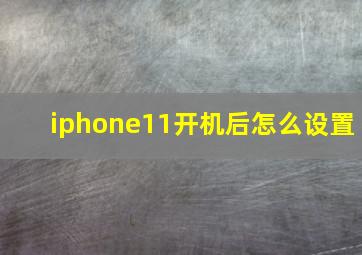 iphone11开机后怎么设置