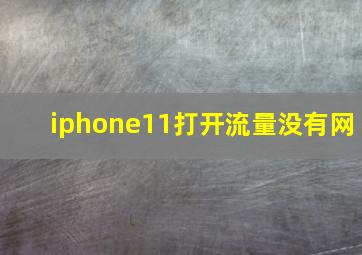 iphone11打开流量没有网