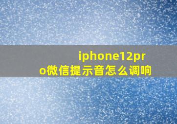 iphone12pro微信提示音怎么调响