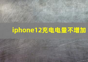 iphone12充电电量不增加