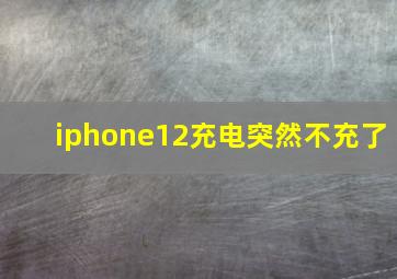 iphone12充电突然不充了