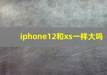 iphone12和xs一样大吗