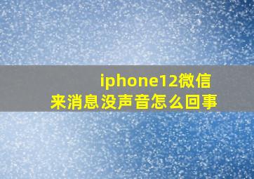 iphone12微信来消息没声音怎么回事