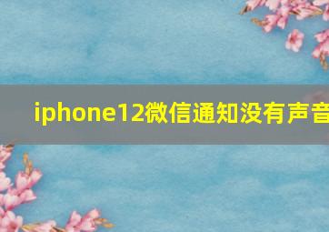 iphone12微信通知没有声音