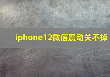 iphone12微信震动关不掉