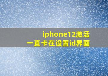 iphone12激活一直卡在设置id界面