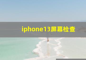 iphone13屏幕检查