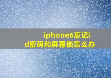 iphone6忘记id密码和屏幕锁怎么办