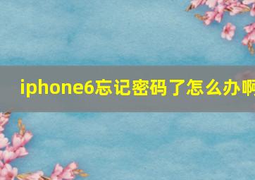 iphone6忘记密码了怎么办啊