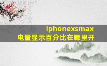 iphonexsmax电量显示百分比在哪里开