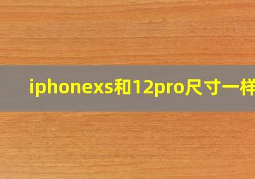 iphonexs和12pro尺寸一样吗