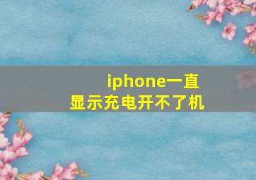 iphone一直显示充电开不了机